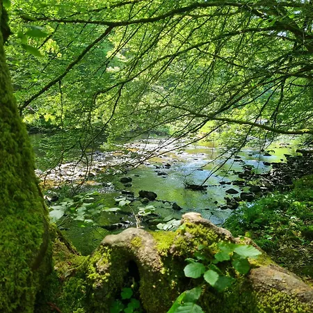 Ferienhaus Droefter Blick Monschau Zewnętrze zdjęcie