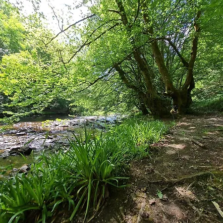 Ferienhaus Droefter Blick Monschau Zewnętrze zdjęcie