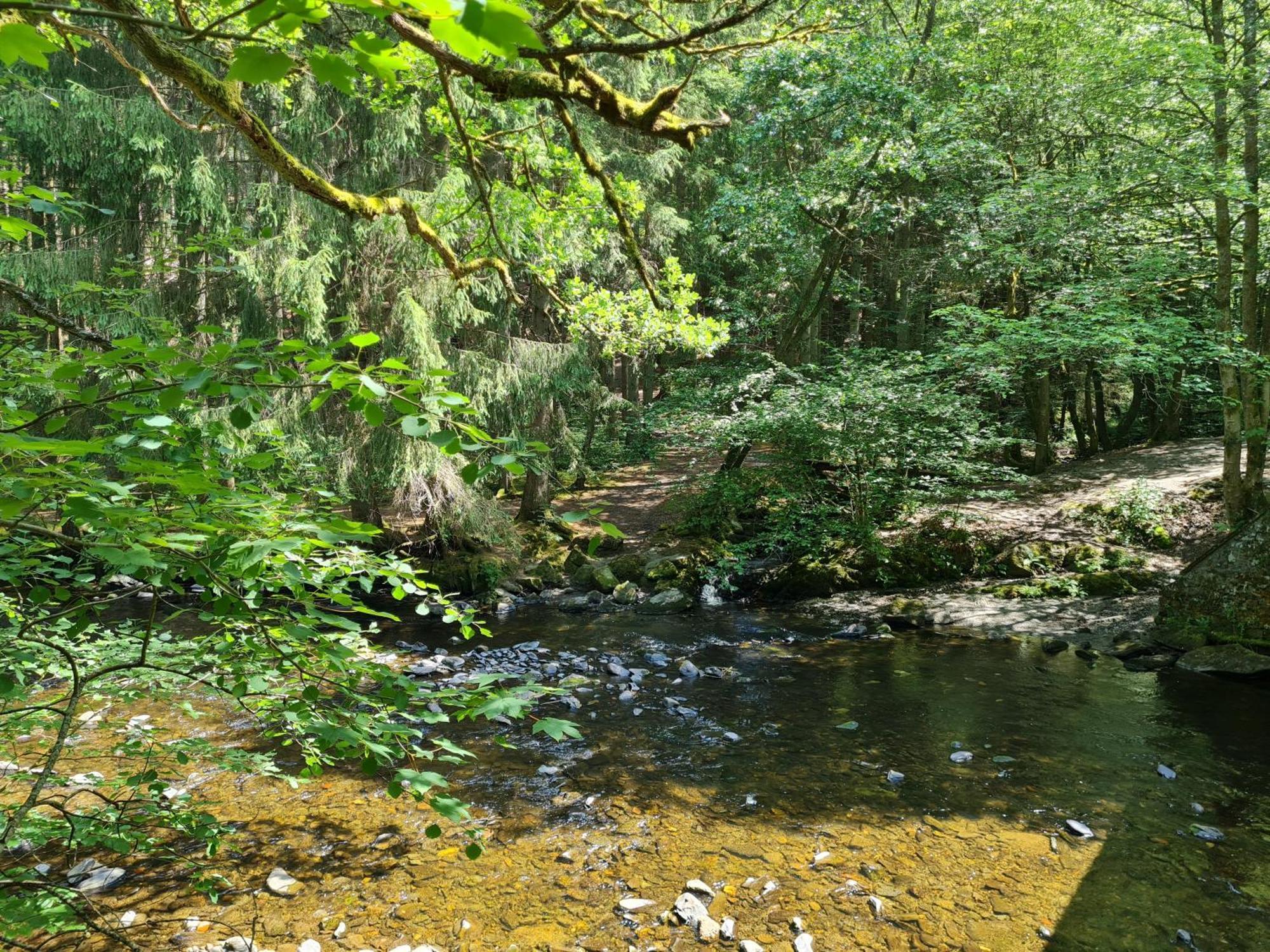 Droefter Blick * Monschau